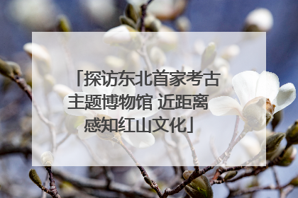 探访东北首家考古主题博物馆 近距离感知红山文化