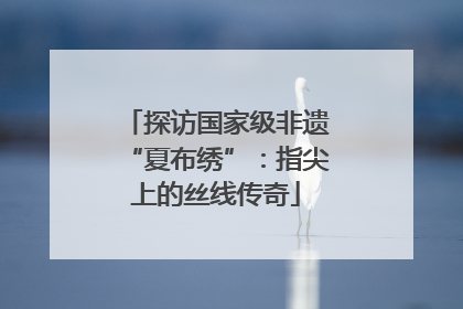 探访国家级非遗“夏布绣”：指尖上的丝线传奇