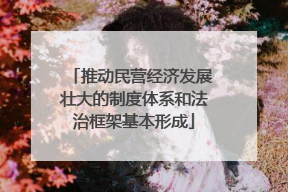 推动民营经济发展壮大的制度体系和法治框架基本形成