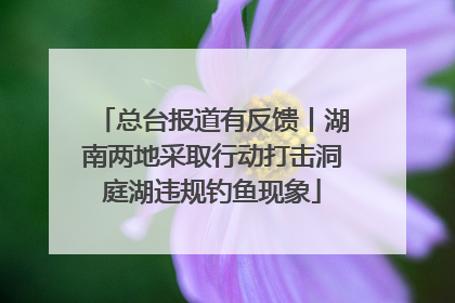 总台报道有反馈丨湖南两地采取行动打击洞庭湖违规钓鱼现象