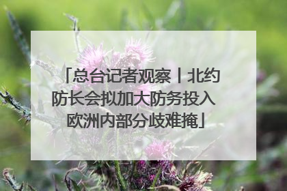 总台记者观察丨北约防长会拟加大防务投入 欧洲内部分歧难掩