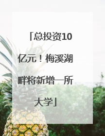 总投资10亿元！梅溪湖畔将新增一所大学