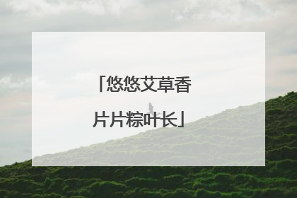 悠悠艾草香 片片粽叶长