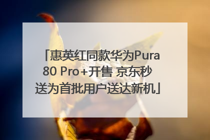 惠英红同款华为Pura 80 Pro+开售 京东秒送为首批用户送达新机