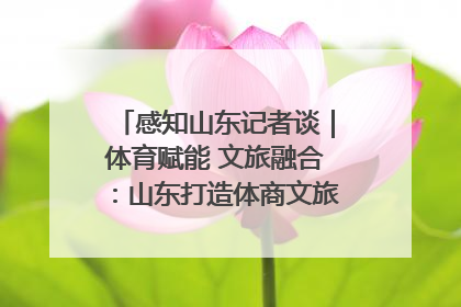 感知山东记者谈｜体育赋能 文旅融合：山东打造体商文旅融合发展新格局