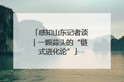 感知山东记者谈｜一颗蒜头的“链式进化论”