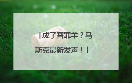 成了替罪羊？马斯克最新发声！