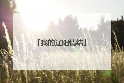 我的辽阳情结