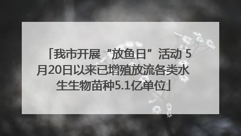 我市开展“放鱼日”活动 5月20日以来已增殖放流各类水生生物苗种5.1亿单位