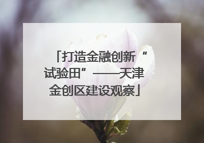 打造金融创新“试验田”——天津金创区建设观察