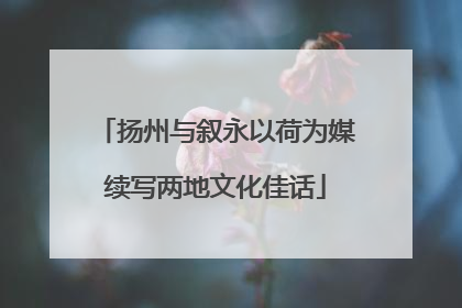 扬州与叙永以荷为媒续写两地文化佳话