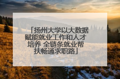 扬州大学以大数据赋能就业工作和人才培养 全链条就业帮扶畅通求职路