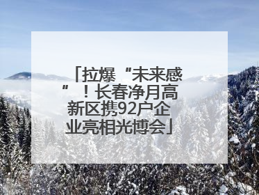 拉爆“未来感”！长春净月高新区携92户企业亮相光博会