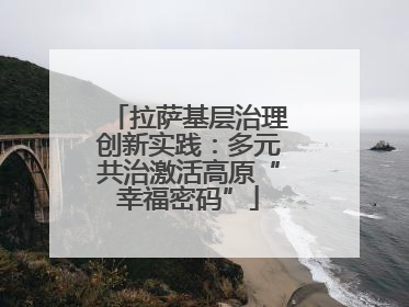 拉萨基层治理创新实践：多元共治激活高原“幸福密码”