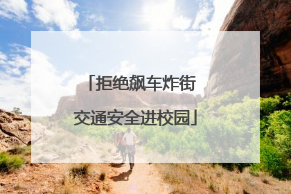 拒绝飙车炸街 交通安全进校园