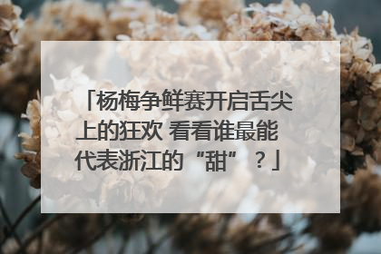 杨梅争鲜赛开启舌尖上的狂欢 看看谁最能代表浙江的“甜”？