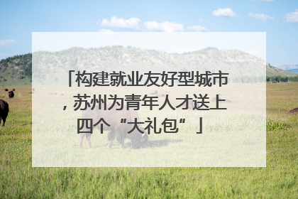 构建就业友好型城市，苏州为青年人才送上四个“大礼包”