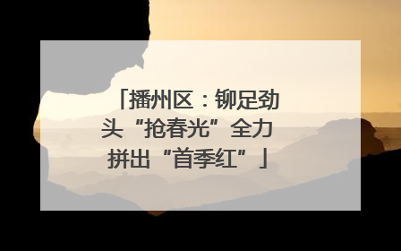 播州区：铆足劲头“抢春光”全力拼出“首季红”