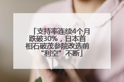 支持率连续4个月跌破30%，日本首相石破茂参院改选前“利空”不断