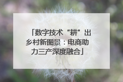 数字技术“耕”出乡村新图景：电商助力三产深度融合