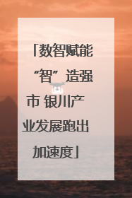 数智赋能“智”造强市 银川产业发展跑出加速度
