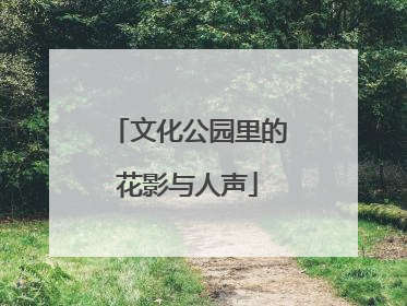 文化公园里的花影与人声