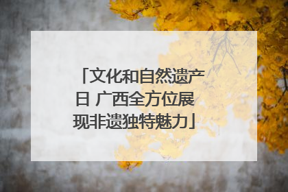 文化和自然遗产日 广西全方位展现非遗独特魅力
