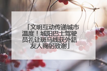 文明互动传递城市温度！城阳巴士驾驶员礼让斑马线获外籍友人鞠躬致谢