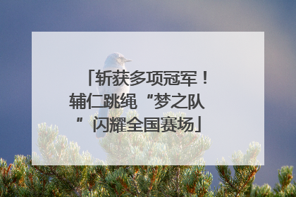 斩获多项冠军！辅仁跳绳“梦之队”闪耀全国赛场