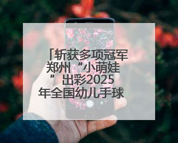 斩获多项冠军 郑州“小萌娃”出彩2025年全国幼儿手球嘉年华总站赛