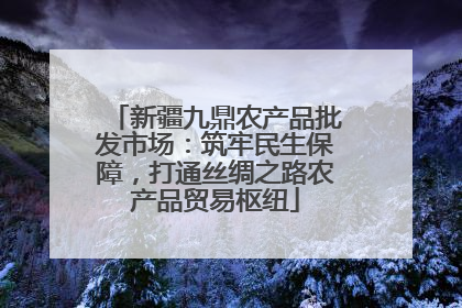 新疆九鼎农产品批发市场：筑牢民生保障，打通丝绸之路农产品贸易枢纽