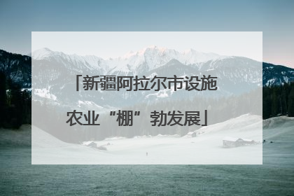 新疆阿拉尔市设施农业“棚”勃发展