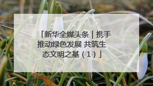 新华全媒头条｜携手推动绿色发展 共筑生态文明之基（1）