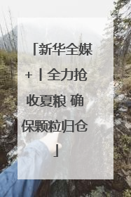 新华全媒+丨全力抢收夏粮 确保颗粒归仓