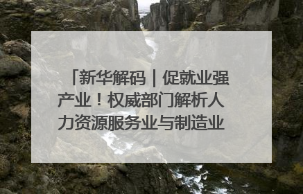 新华解码｜促就业强产业！权威部门解析人力资源服务业与制造业融合发展试点
