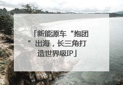 新能源车“抱团”出海，长三角打造世界级IP