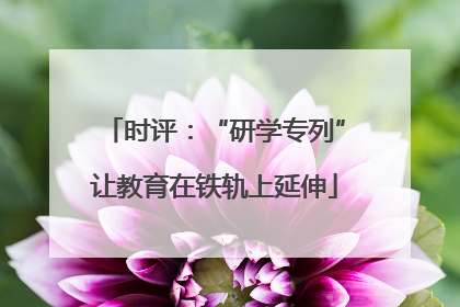 时评：“研学专列”让教育在铁轨上延伸
