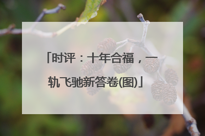 时评：十年合福，一轨飞驰新答卷(图)
