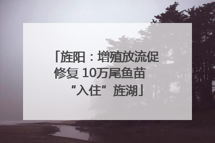 旌阳：增殖放流促修复 10万尾鱼苗“入住”旌湖