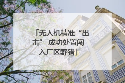 无人机精准“出击” 成功处置闯入厂区野猪