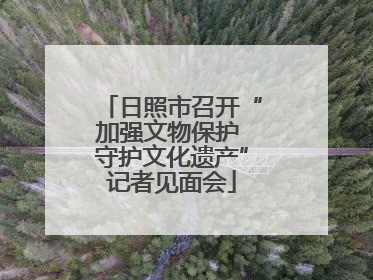 日照市召开“加强文物保护 守护文化遗产”记者见面会
