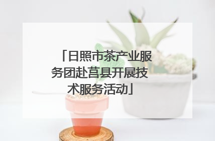日照市茶产业服务团赴莒县开展技术服务活动