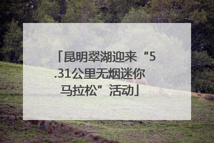 昆明翠湖迎来“5.31公里无烟迷你马拉松”活动