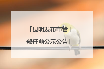 昆明发布市管干部任前公示公告