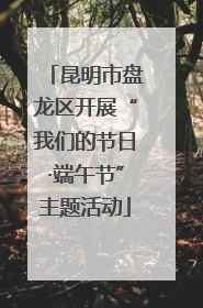 昆明市盘龙区开展“我们的节日·端午节”主题活动