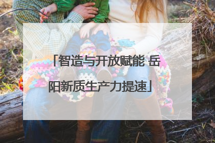 智造与开放赋能 岳阳新质生产力提速