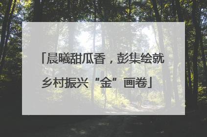 晨曦甜瓜香，彭集绘就乡村振兴“金”画卷
