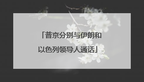普京分别与伊朗和以色列领导人通话