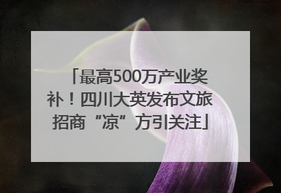 最高500万产业奖补！四川大英发布文旅招商“凉”方引关注