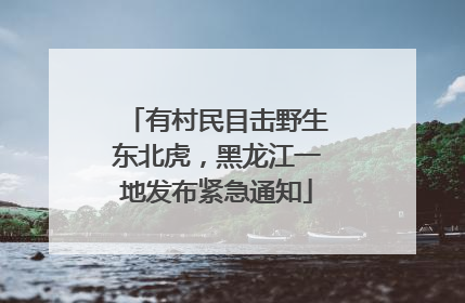 有村民目击野生东北虎，黑龙江一地发布紧急通知